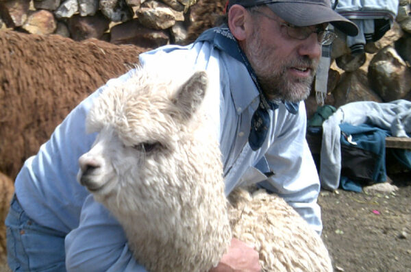 Dr. Bauer with a llama
