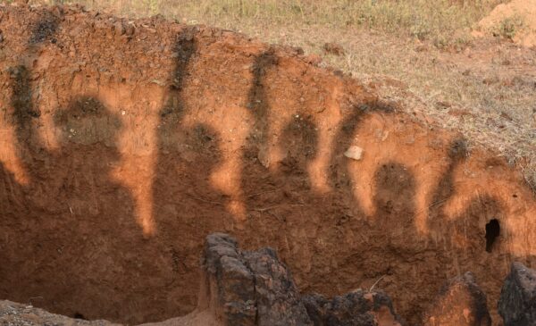 Student shadows on wall of trench excavation