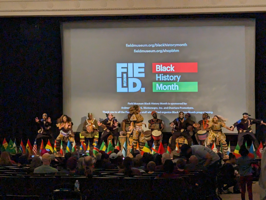 Dancers and drummers performing in front of a project screen